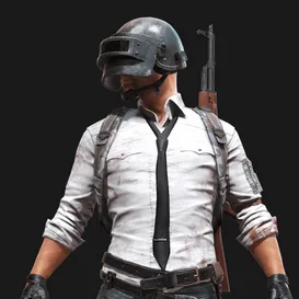 Playerunknown`s Battlegrounds (PUBG) image